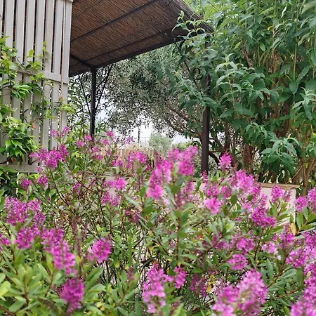 Πανσιόν Au Cabanon